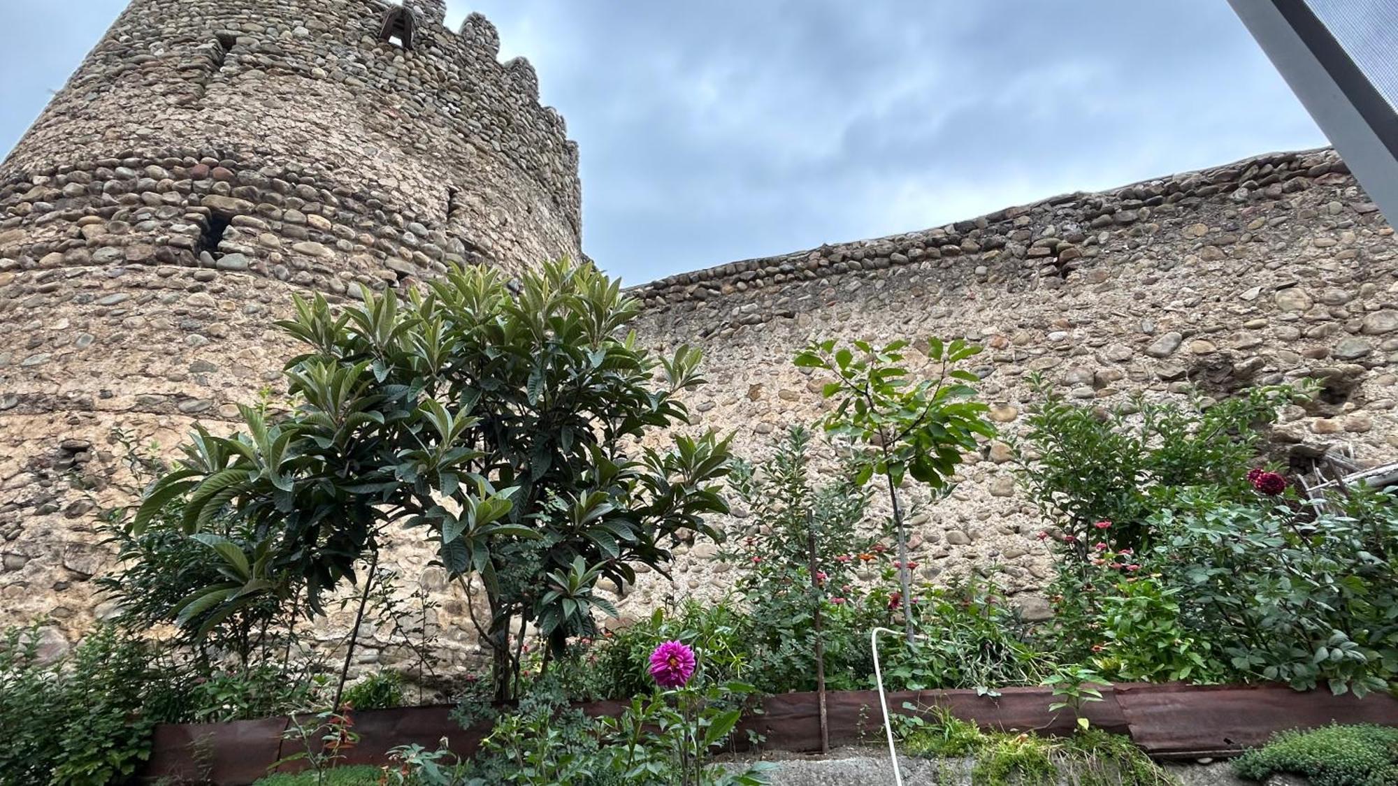 Guest House Maria Siğnaği Dış mekan fotoğraf