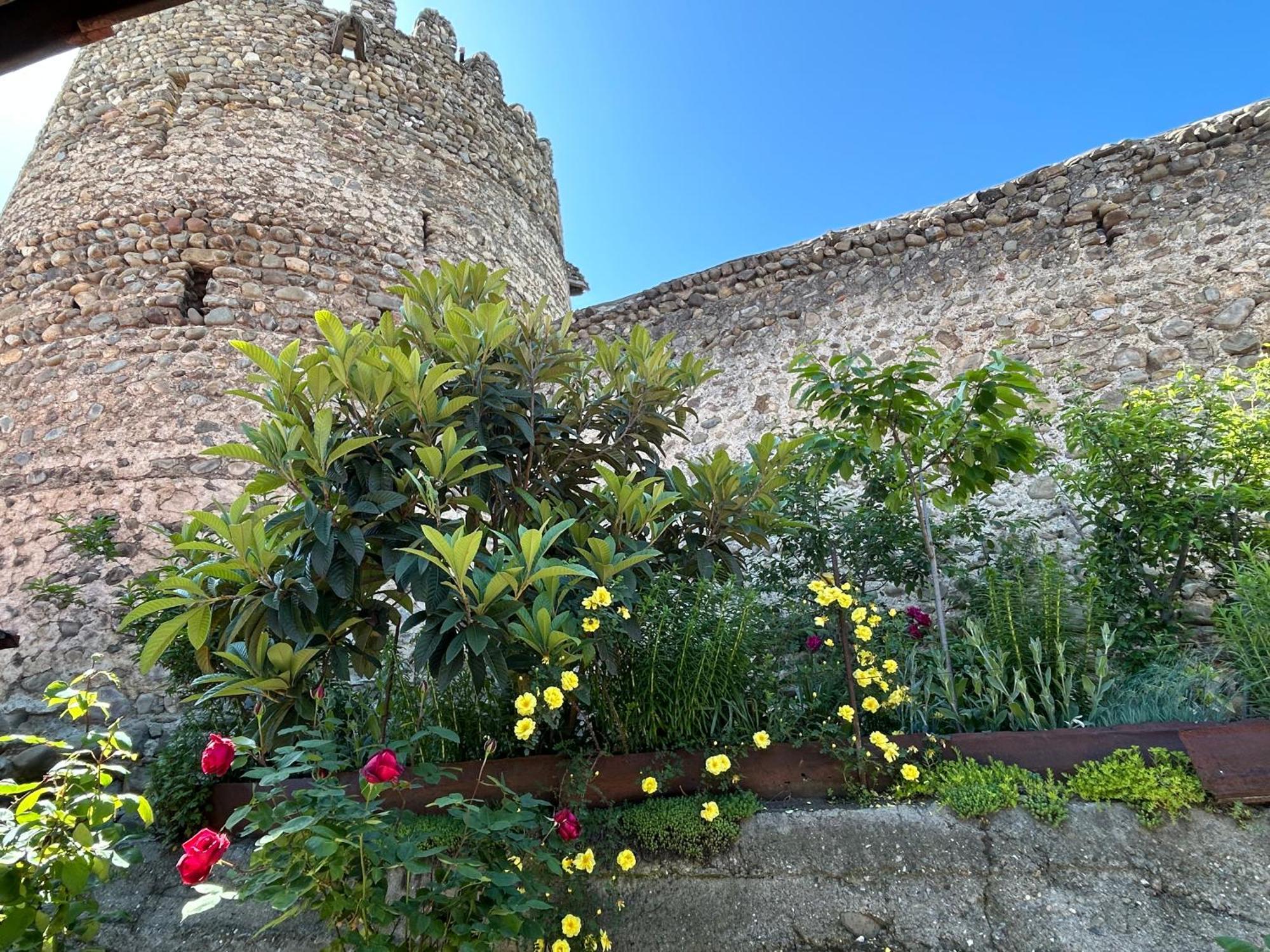 Guest House Maria Siğnaği Dış mekan fotoğraf